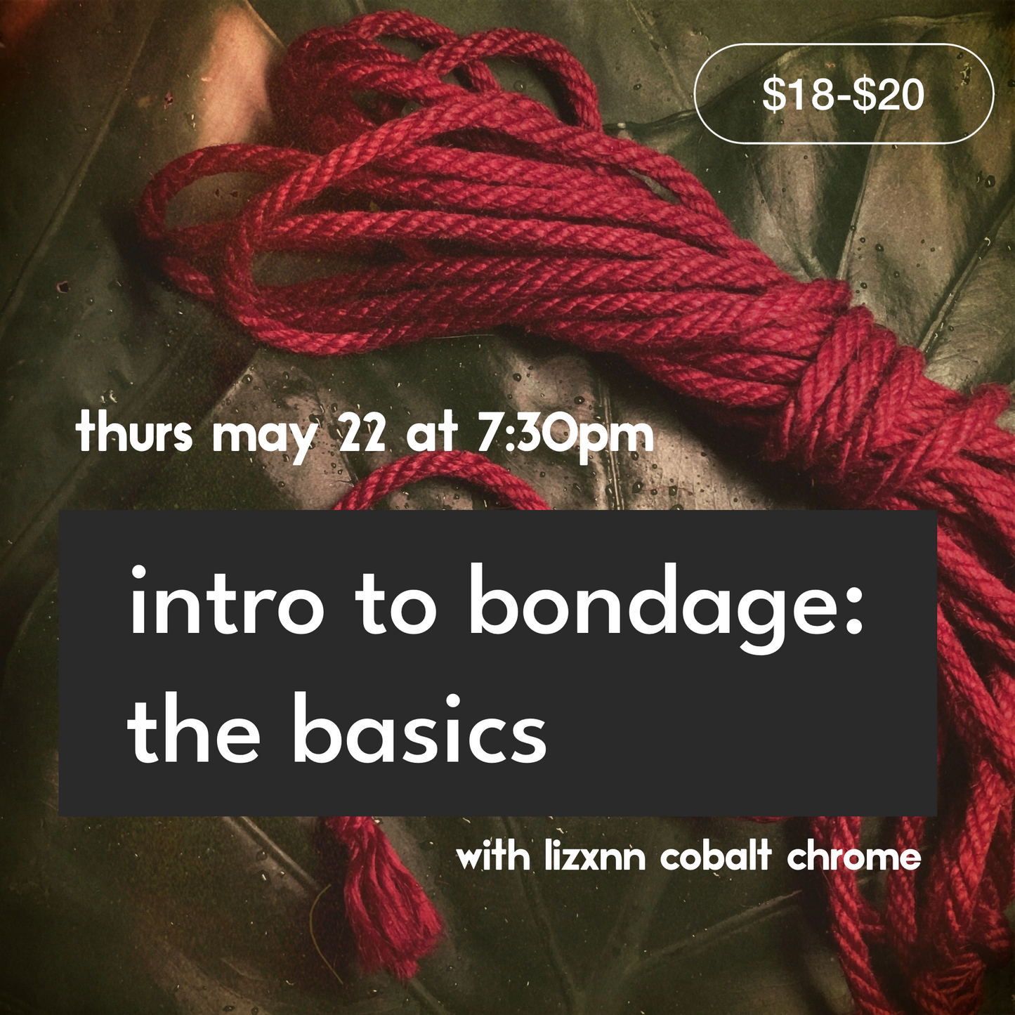 Intro to Bondage: The Basics