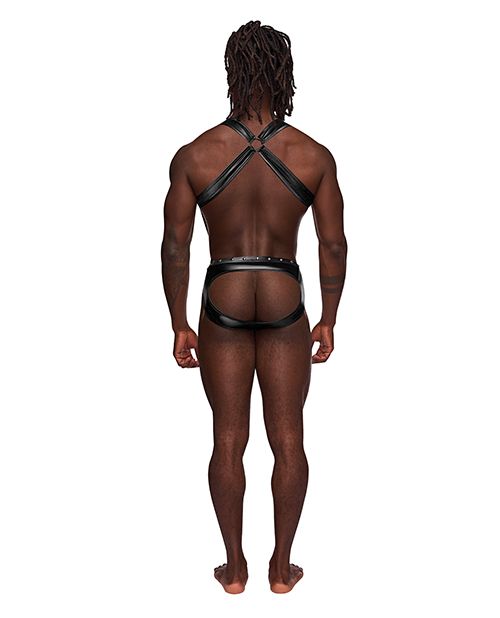 Moonshine Spandex Harness + Brief