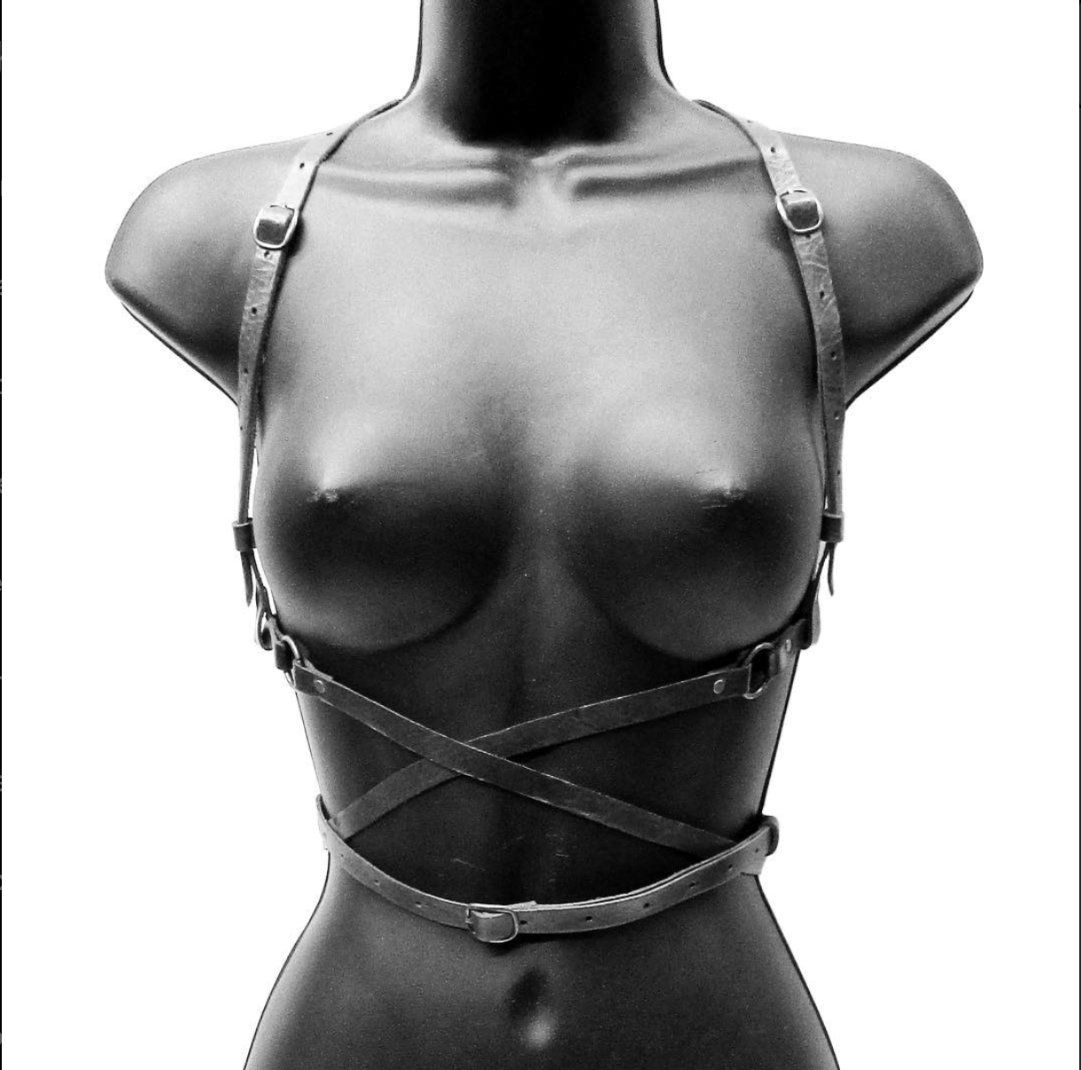 Artemis Harness