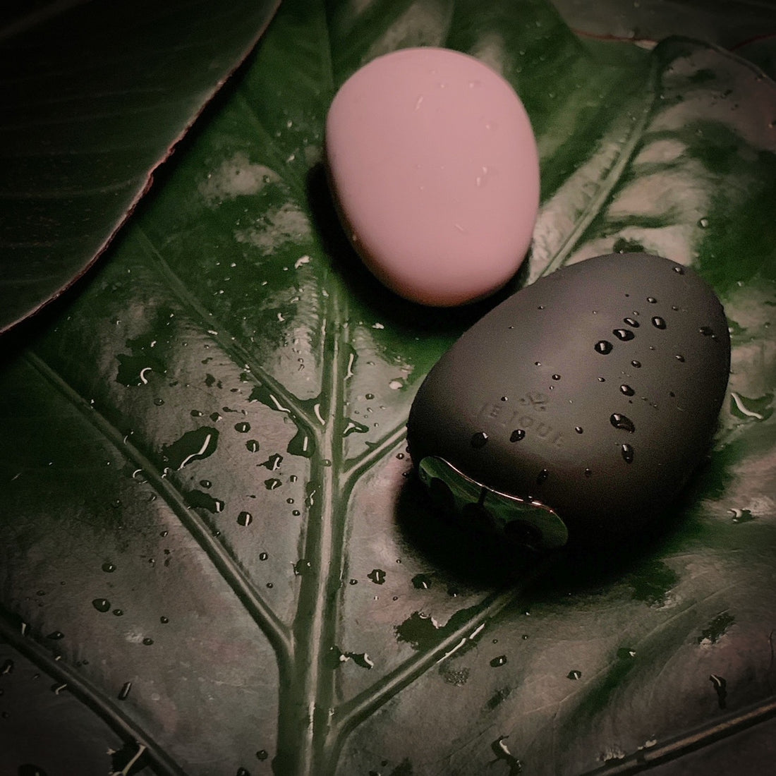 Dynamo Dynamo Toys Adult Boutique in New Orleans